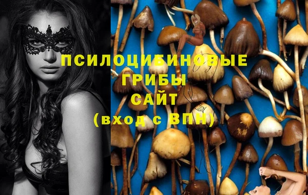твердый Алзамай