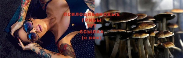твердый Алзамай