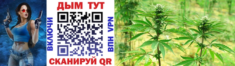 Марихуана тримм  хочу   мега tor  Шатура 