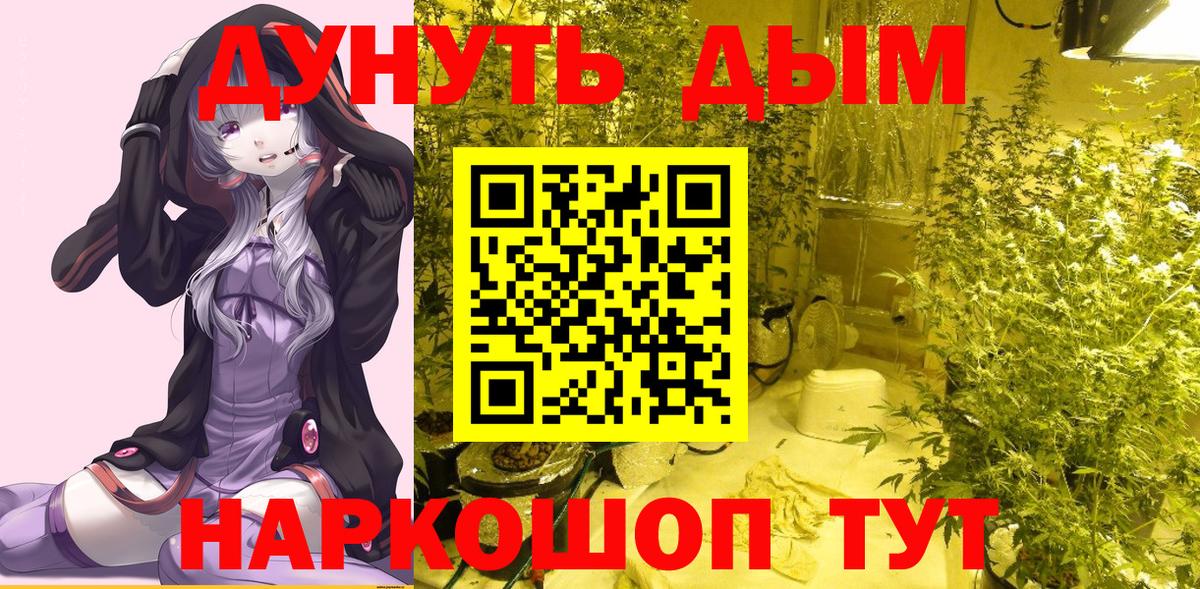 Шишки марихуана Bruce Banner  МАРИХУАНА план  Каннабис сатива  Вход с VPN  Шатура 
